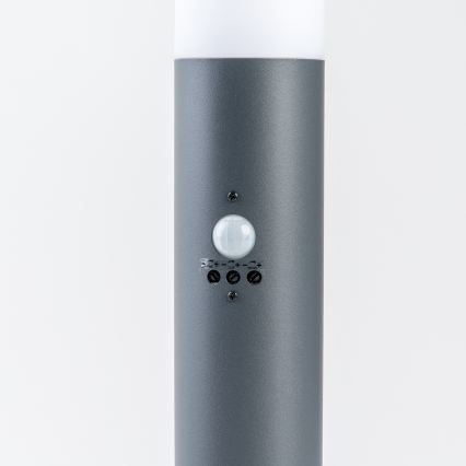 BRILAGI - Udendørslampe med sensor ELIA 1xE27/20W/230V IP44 50 cm antracit