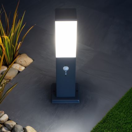 Brilagi - Udendørslampe med sensor NOVA 1xE27/15W/230V 40 cm IP44 antracit