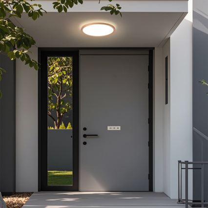 Brilagi - LED badeværelsesloftlampe ULTRA SLIM LED/18W/230V Ø 30 cm roseguld IP54