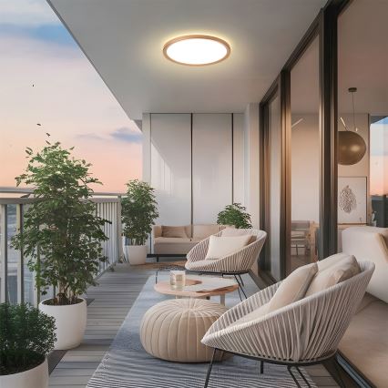 Brilagi - LED badeværelsesloftlampe ULTRA SLIM LED/18W/230V Ø 30 cm roseguld IP54