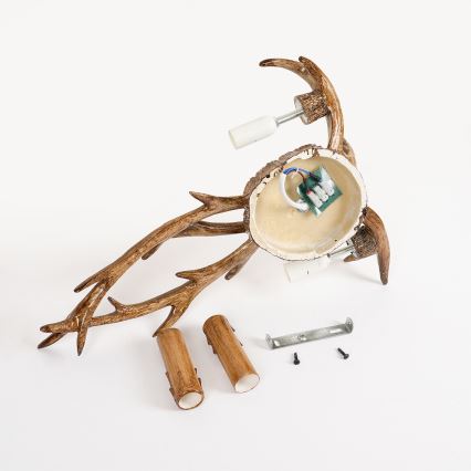 Brilagi - Væglampe DEER 2xE14/10W/230V hjortegevir