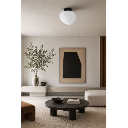 BRILAGI - Væglampe PEBBLES 1xE27/40W/230V Ø 20 cm sort