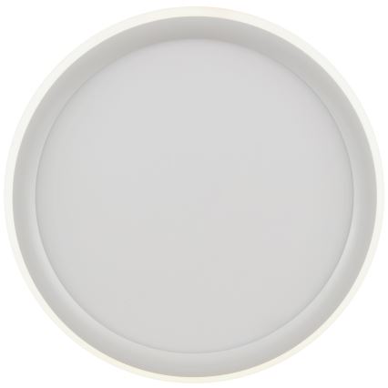 Brilliant - Dæmpbar LED-loftlampe CARLOZ LED/16W/230V Ø 30 cm hvid