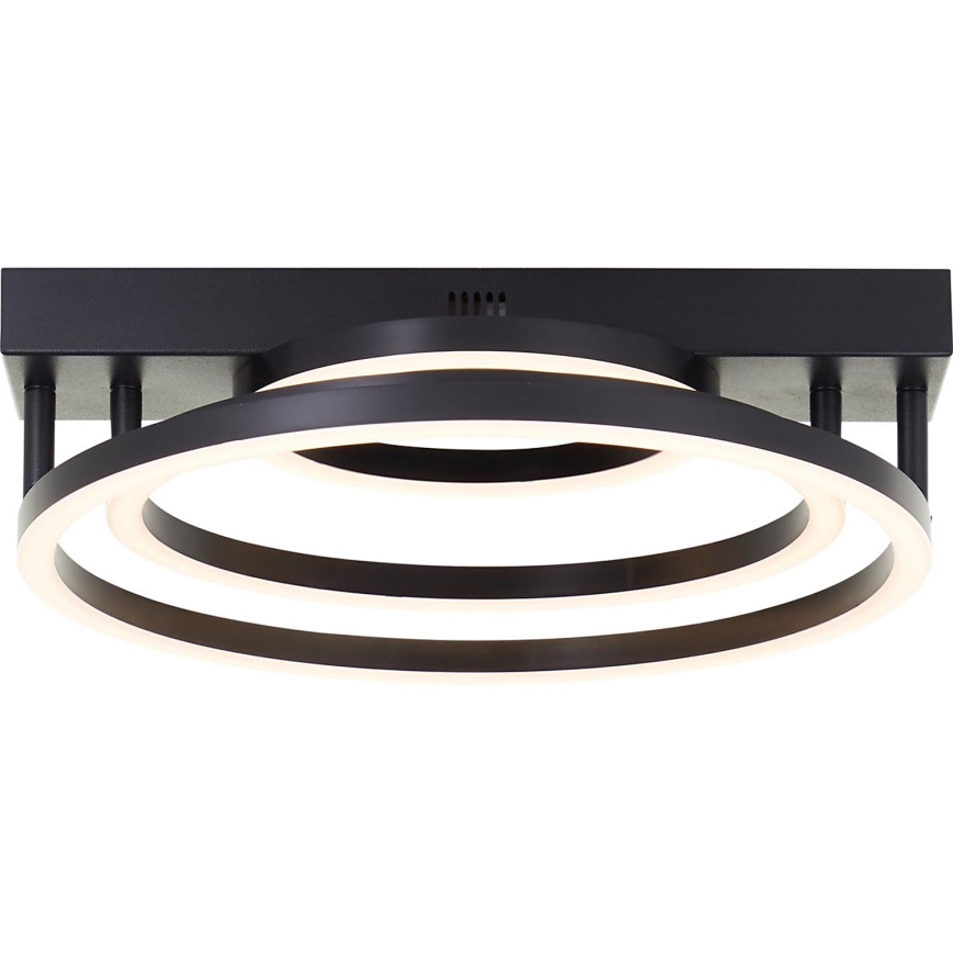 Brilliant - Dæmpbar LED-loftlampe PEDLEY LED/36W/230V, sort