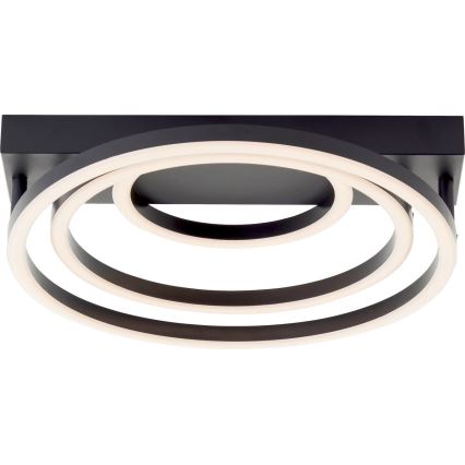 Brilliant - Dæmpbar LED-loftlampe PEDLEY LED/36W/230V, sort