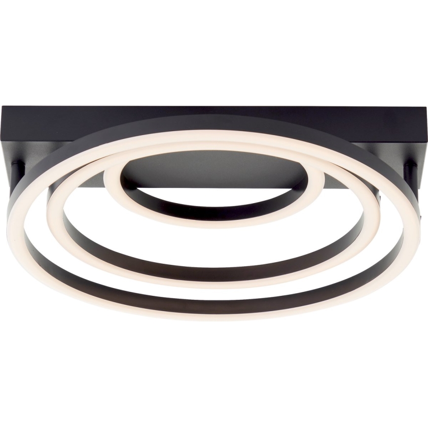 Brilliant - Dæmpbar LED-loftlampe PEDLEY LED/36W/230V, sort