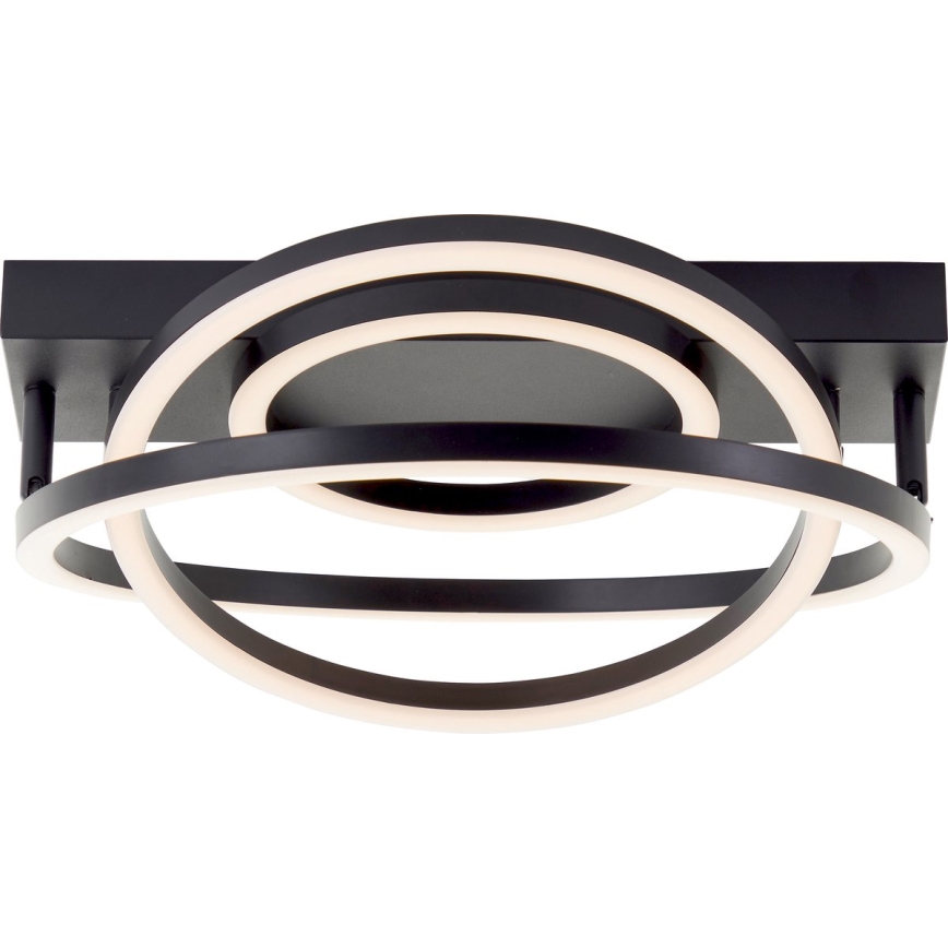 Brilliant - Dæmpbar LED-loftlampe PEDLEY LED/36W/230V, sort