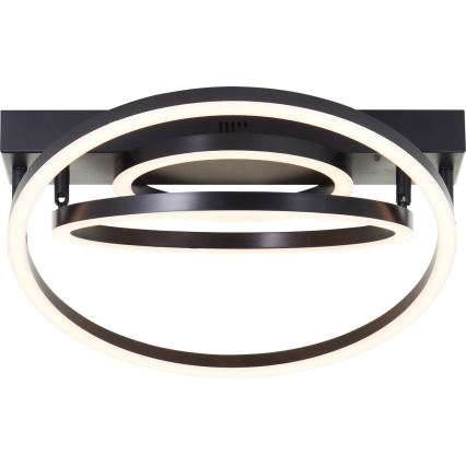 Brilliant - Dæmpbar LED-loftlampe PEDLEY LED/36W/230V, sort