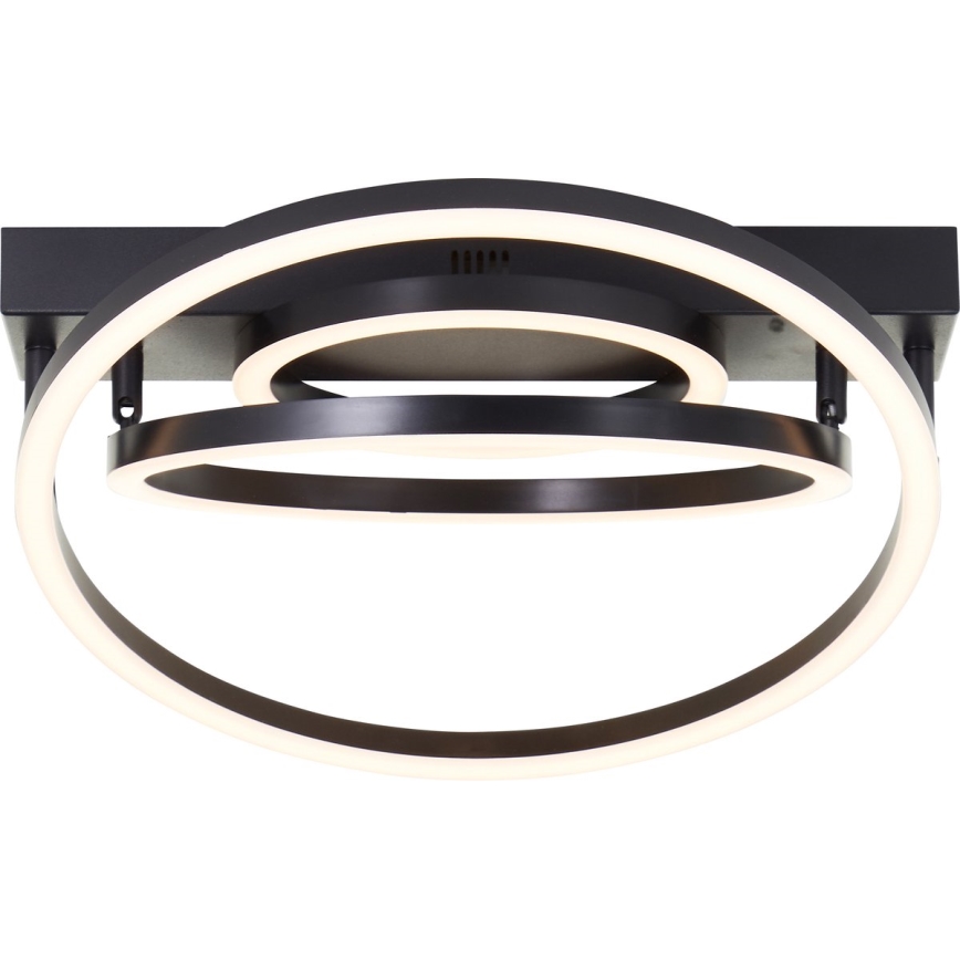 Brilliant - Dæmpbar LED-loftlampe PEDLEY LED/36W/230V, sort