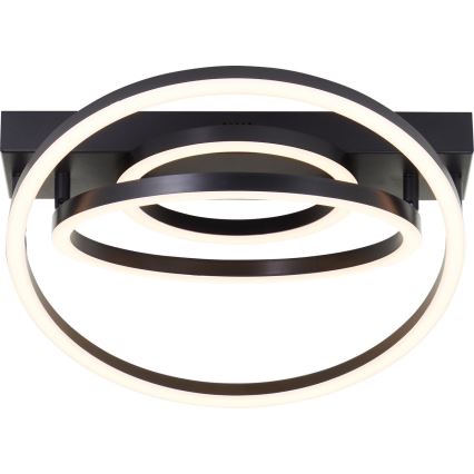 Brilliant - Dæmpbar LED-loftlampe PEDLEY LED/36W/230V, sort