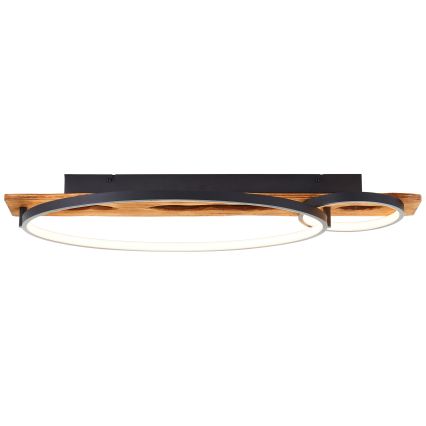 Brilliant - LED-dæmpbar loftlampe PIRUS LED/30W/230V 30x70 cm gummitræ