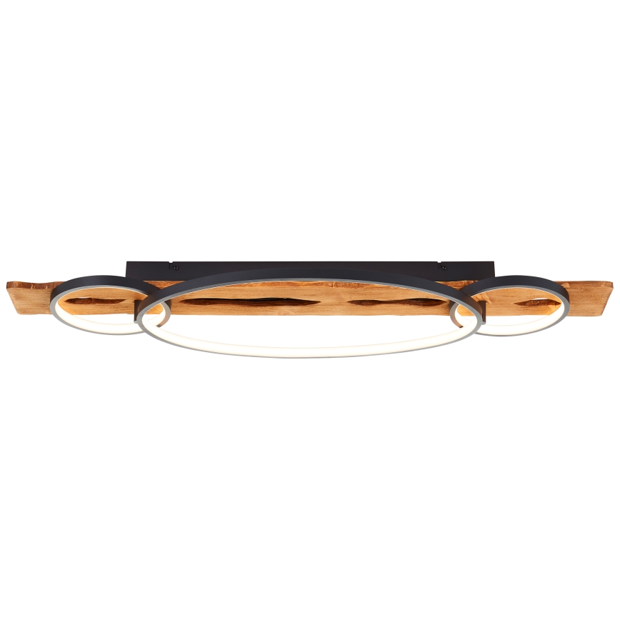 Brilliant - LED Dæmpbar loftlampe PIRUS LED/40W/230V 30x90 cm gumovník