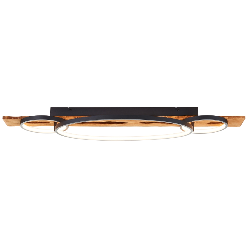 Brilliant - LED Dæmpbar loftlampe PIRUS LED/40W/230V 30x90 cm gumovník