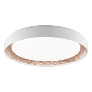 Brilliant - Dæmpbar LED-loftlampe WALDO LED/36W/230V 3000-6500K Ø 48,5 cm hvid/roséguld + fjernbetjening