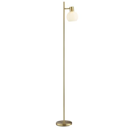 Brilliant - Gulvlampe CONY 1xE14/20W/230V messing