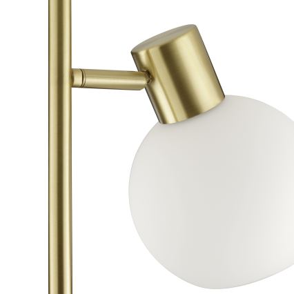 Brilliant - Gulvlampe CONY 1xE14/20W/230V messing
