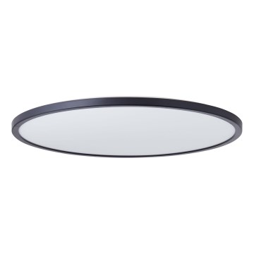 Brilliant - LED-dæmpbar badeværelsesloftlampe BRENNAN LED/35W/230V Ø 54 cm IP44 sort