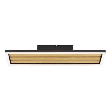 Brilliant - LED dæmpbar loftlampe CALMA LED/15W/230V sort