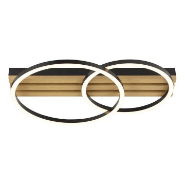 Brilliant - LED-dæmpbar loftlampe CALMA LED/21W/230V sort