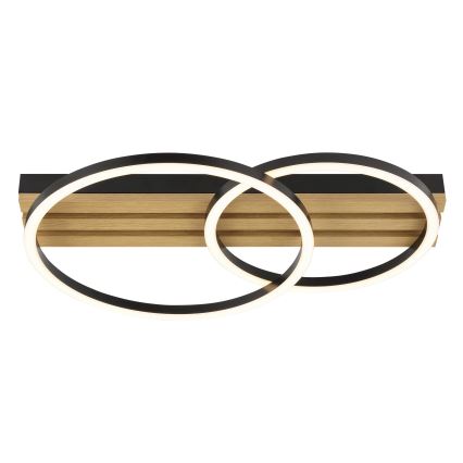 Brilliant - LED-dæmpbar loftlampe CALMA LED/21W/230V sort