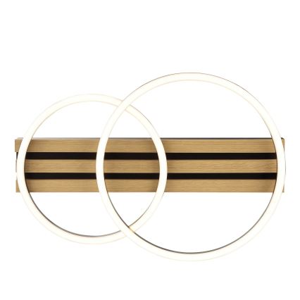 Brilliant - LED-dæmpbar loftlampe CALMA LED/21W/230V sort