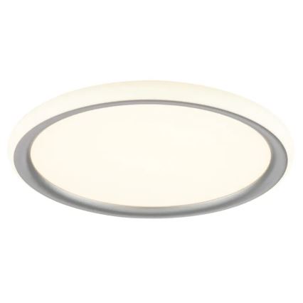 Brilliant - LED Dæmpbar loftlampe CARLOZ LED/16W/230V Ø 30 cm hvid/ grå
