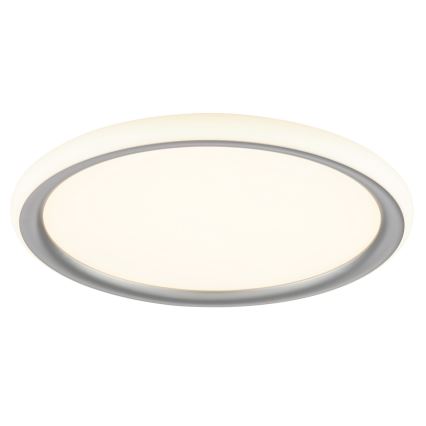Brilliant - LED Dæmpbar loftlampe CARLOZ LED/16W/230V Ø 30 cm hvid/ grå