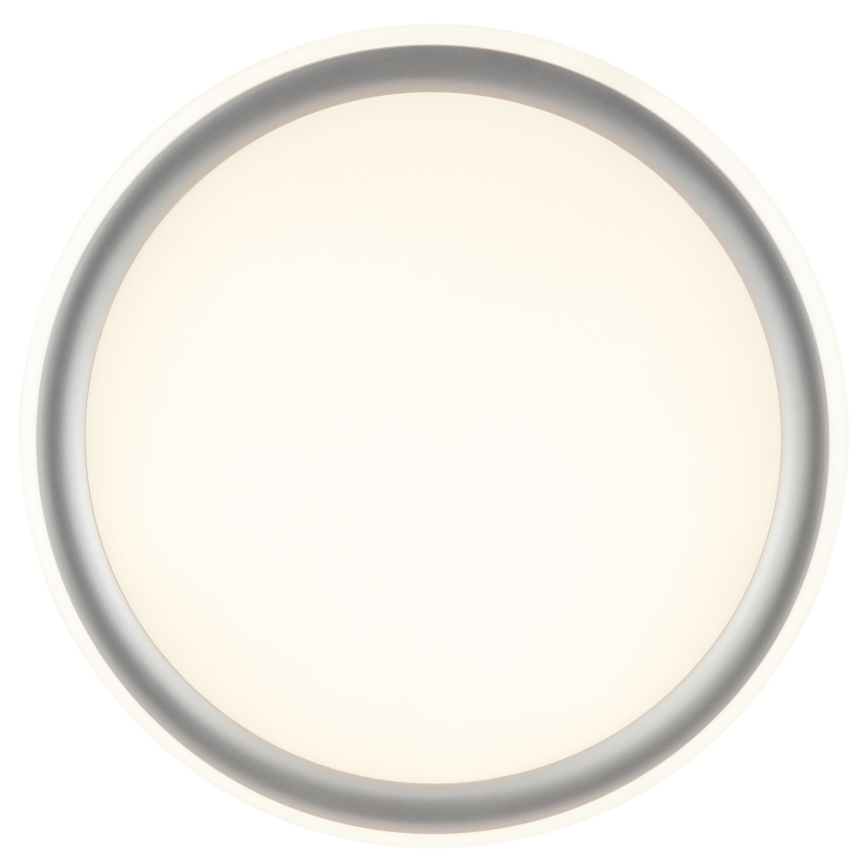 Brilliant - LED Dæmpbar loftlampe CARLOZ LED/16W/230V Ø 30 cm hvid/ grå