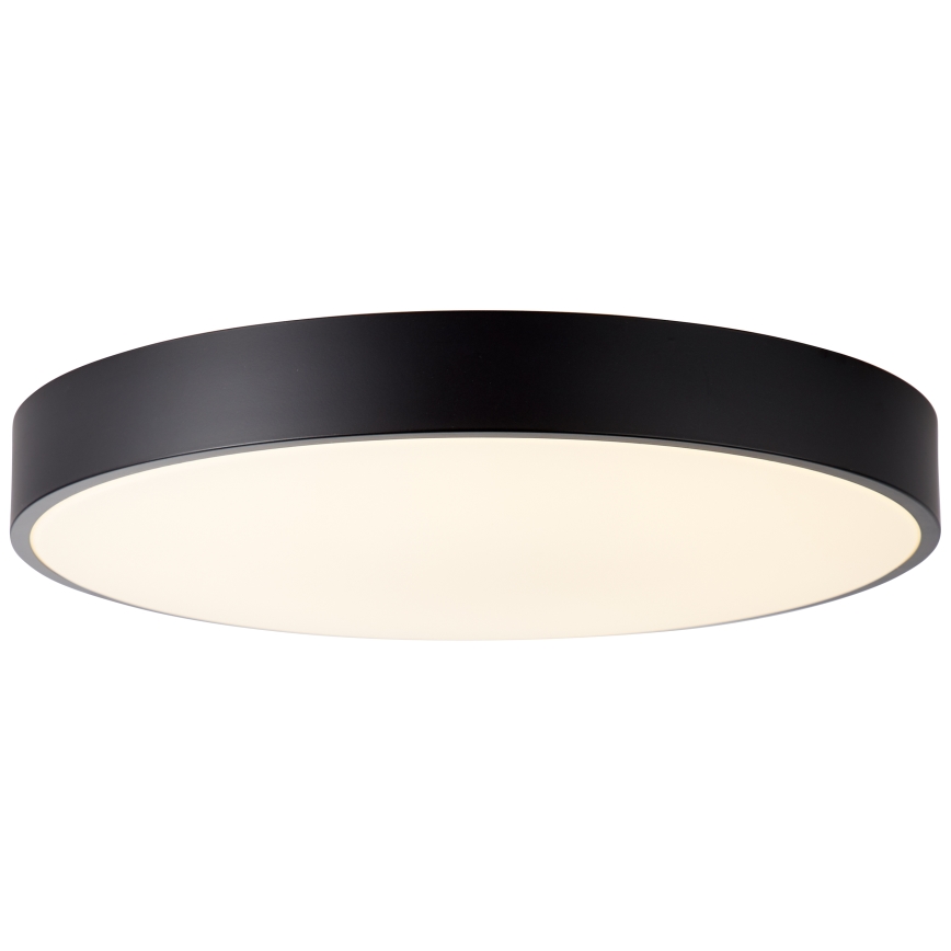 Brilliant - LED dæmpbar loftlampe SLIMLINE LED/60W/230V 3000-6500K Ø 49 cm sort + fjernbetjening