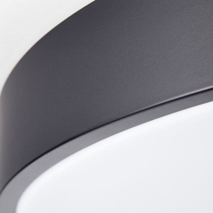 Brilliant - LED dæmpbar loftlampe SLIMLINE LED/60W/230V 3000-6500K Ø 49 cm sort + fjernbetjening