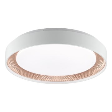 Brilliant - LED-dæmpbar loftlampe WALDO LED/24W/230V 3000-6500K Ø 38,5 cm hvid/rosaguld + fjernbetjening