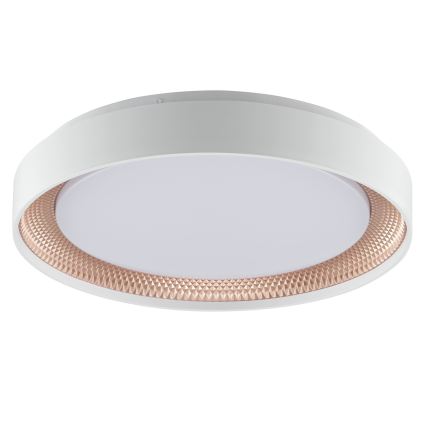 Brilliant - LED-dæmpbar loftlampe WALDO LED/24W/230V 3000-6500K Ø 38,5 cm hvid/rosaguld + fjernbetjening