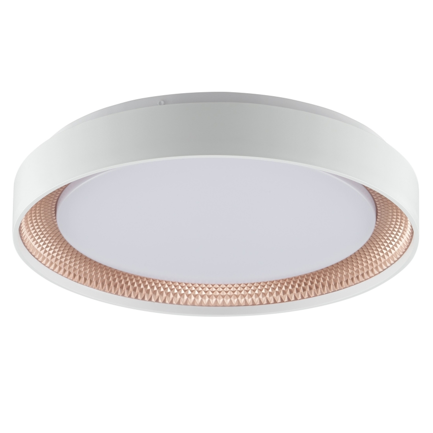 Brilliant - LED-dæmpbar loftlampe WALDO LED/24W/230V 3000-6500K Ø 38,5 cm hvid/rosaguld + fjernbetjening