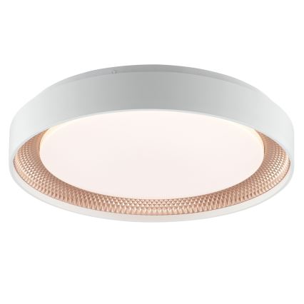 Brilliant - LED-dæmpbar loftlampe WALDO LED/24W/230V 3000-6500K Ø 38,5 cm hvid/rosaguld + fjernbetjening