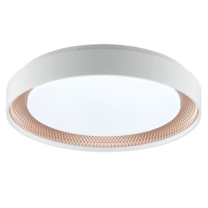 Brilliant - LED-dæmpbar loftlampe WALDO LED/24W/230V 3000-6500K Ø 38,5 cm hvid/rosaguld + fjernbetjening