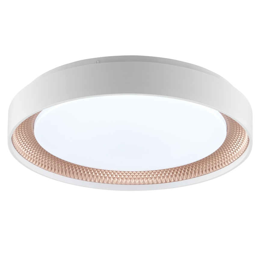 Brilliant - LED-dæmpbar loftlampe WALDO LED/24W/230V 3000-6500K Ø 38,5 cm hvid/rosaguld + fjernbetjening