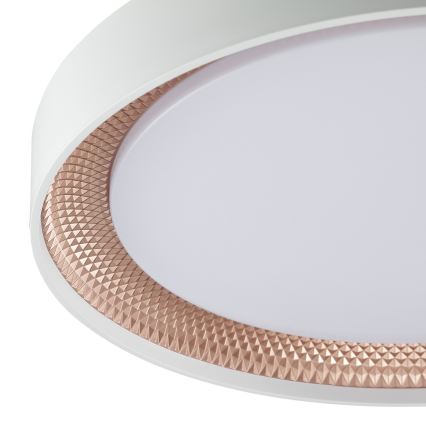 Brilliant - LED-dæmpbar loftlampe WALDO LED/24W/230V 3000-6500K Ø 38,5 cm hvid/rosaguld + fjernbetjening