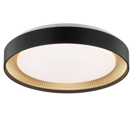 Brilliant - LED dæmpbar loftlampe WALDO LED/24W/230V 3000-6500K pr. 38,5 cm sort/guld + fjernbetjening