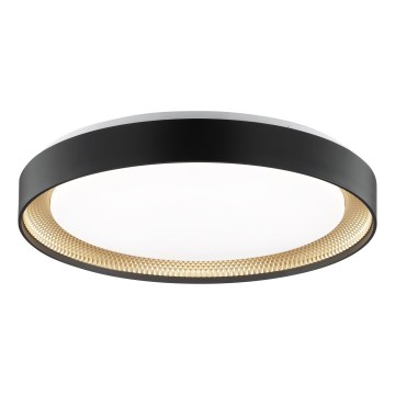 Brilliant - LED-dæmpbar loftlampe WALDO LED/36W/230V 3000-6500K Ø 48,5 cm sort/guld + fjernbetjening