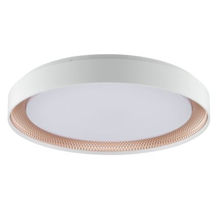Brilliant - Dæmpbar LED-loftlampe WALDO LED/36W/230V 3000-6500K Ø 48,5 cm hvid/roséguld + fjernbetjening