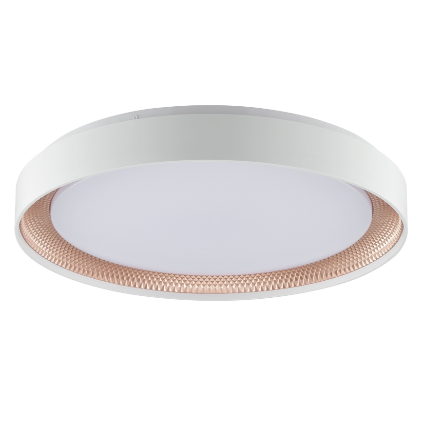 Brilliant - Dæmpbar LED-loftlampe WALDO LED/36W/230V 3000-6500K Ø 48,5 cm hvid/roséguld + fjernbetjening