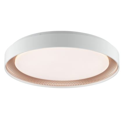 Brilliant - Dæmpbar LED-loftlampe WALDO LED/36W/230V 3000-6500K Ø 48,5 cm hvid/roséguld + fjernbetjening