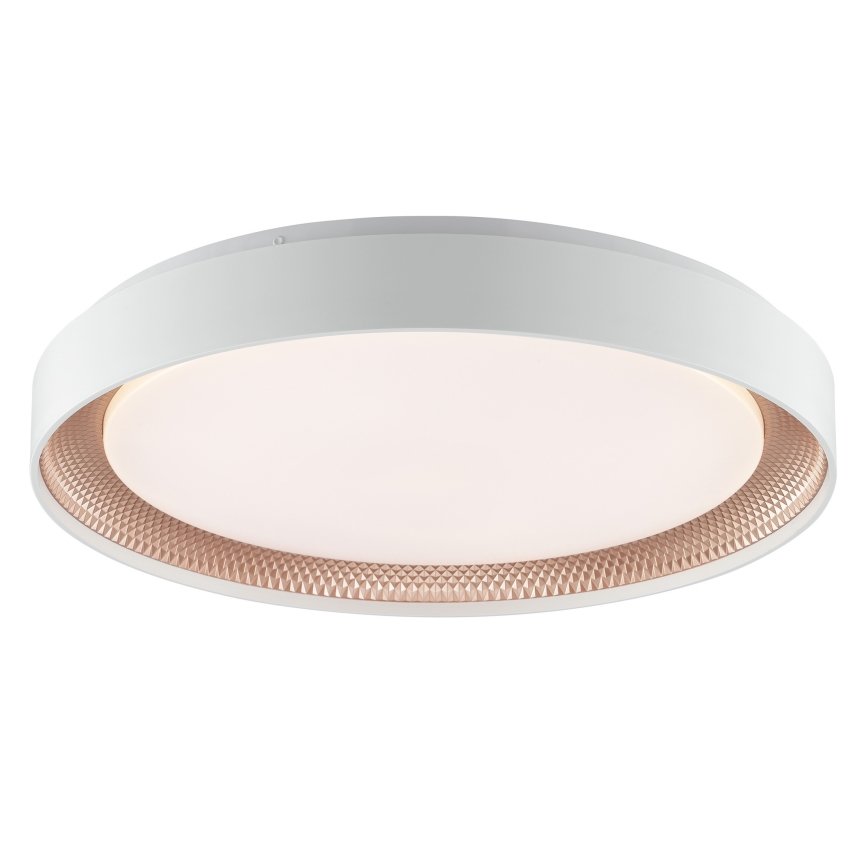 Brilliant - Dæmpbar LED-loftlampe WALDO LED/36W/230V 3000-6500K Ø 48,5 cm hvid/roséguld + fjernbetjening