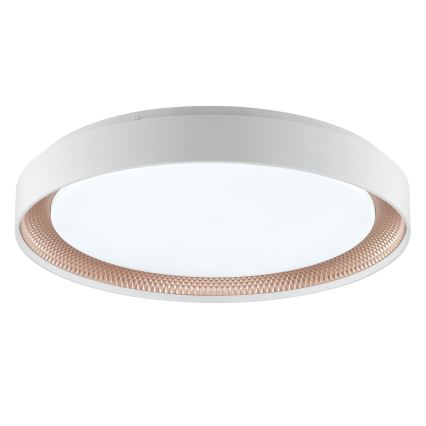 Brilliant - Dæmpbar LED-loftlampe WALDO LED/36W/230V 3000-6500K Ø 48,5 cm hvid/roséguld + fjernbetjening