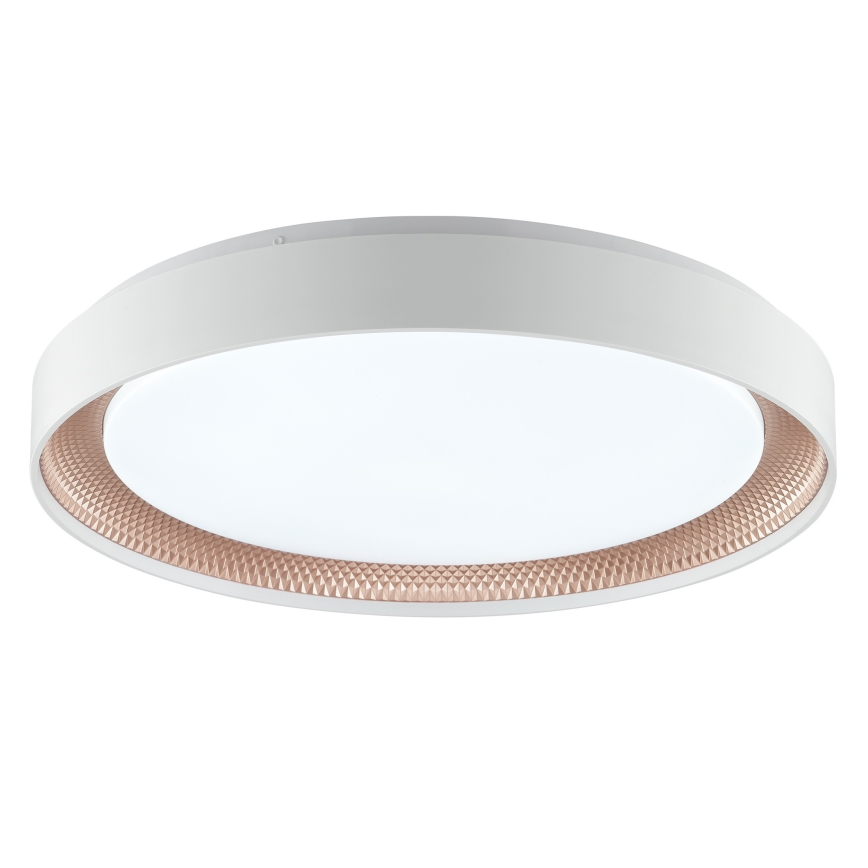 Brilliant - Dæmpbar LED-loftlampe WALDO LED/36W/230V 3000-6500K Ø 48,5 cm hvid/roséguld + fjernbetjening
