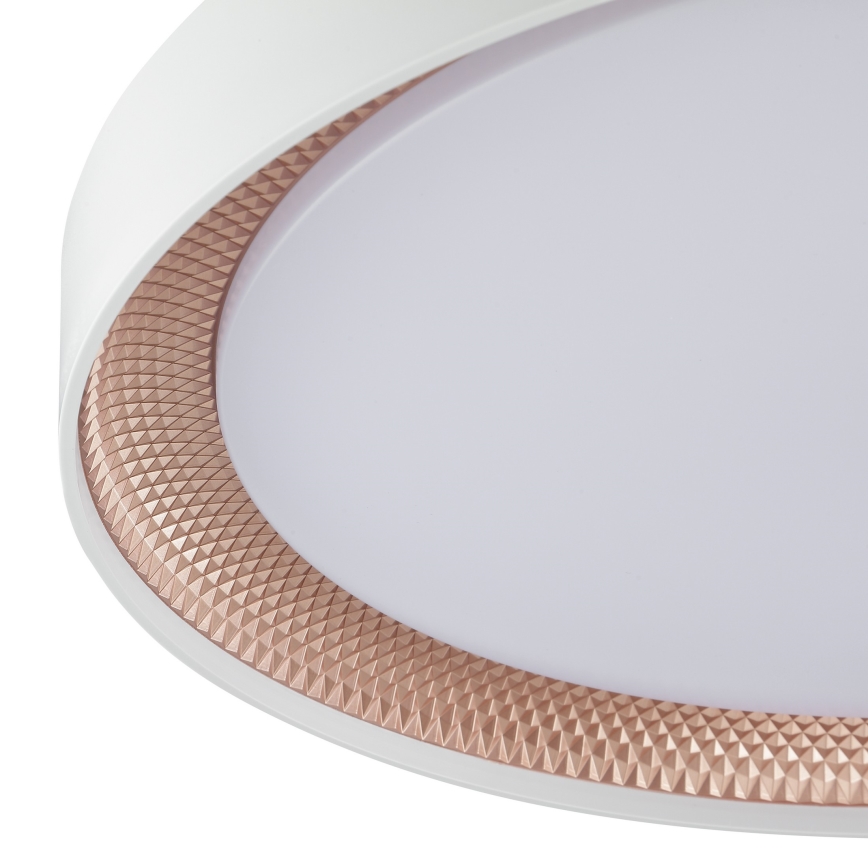 Brilliant - Dæmpbar LED-loftlampe WALDO LED/36W/230V 3000-6500K Ø 48,5 cm hvid/roséguld + fjernbetjening