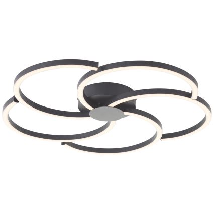 Brilliant - LED loftlampe dæmpbar FICO LED/32W/230V diameter 57 cm sort