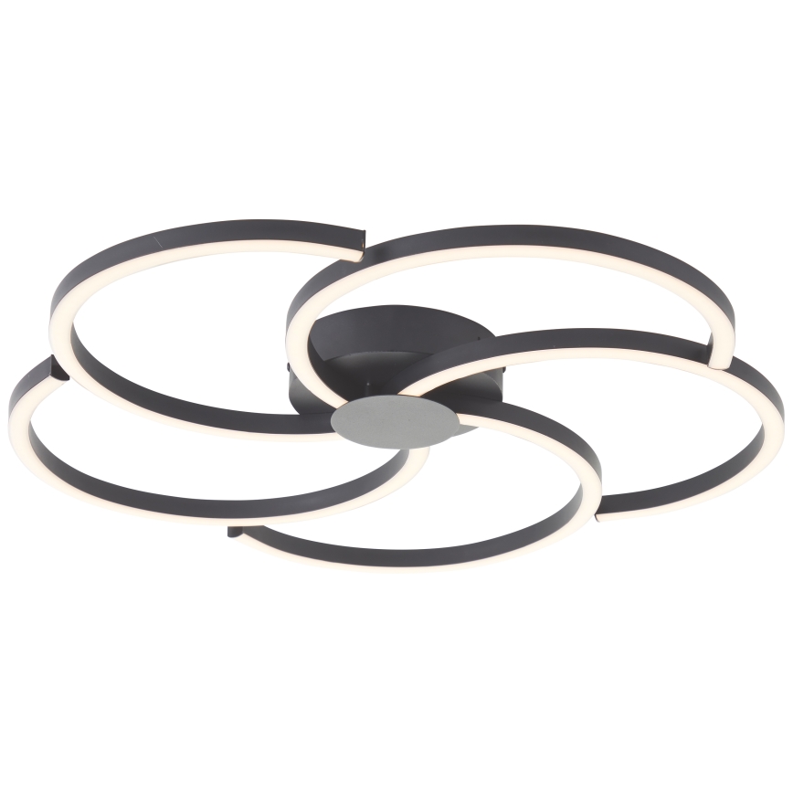 Brilliant - LED loftlampe dæmpbar FICO LED/32W/230V diameter 57 cm sort