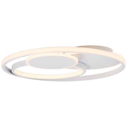 Brilliant - LED loftlampe dæmpbar RUNDA LED/50W/230V 3000-6500K hvid + fjernbetjening