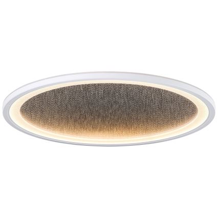 Brilliant - LED loftlampe dæmpbar TANIDA LED/31W/230V 3000-6500K + fjernbetjening